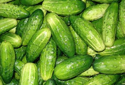 A. Kubilius abejoja, ar racionalu daržoves pripažinti viešuoju interesu