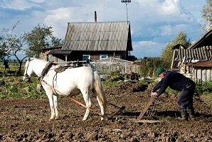 EP siekia teisingesnės žemės ūkio politikos
