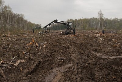 Prieš nelegalų darbą – paslaugų kvitai