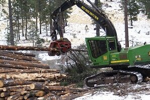 Nėra būtinybės diegti priverstinę privačių miškų tvarkymo sistemą