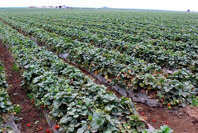 vartotojo kelta nuotrauka